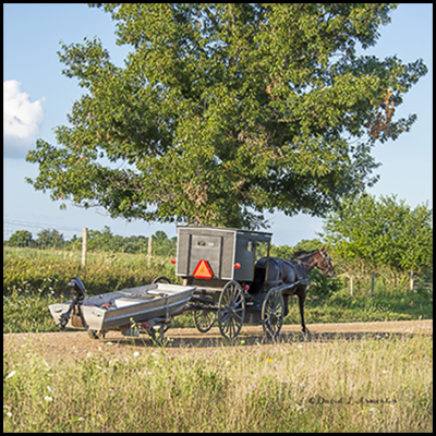 Amish buggy and Small Boat